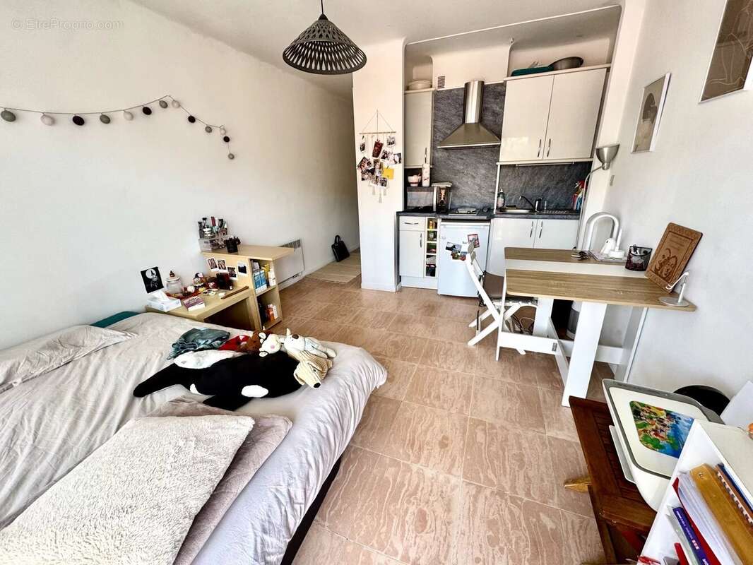 Cannes Basse Californie grand studio avec terrasse et cave - photo 4
