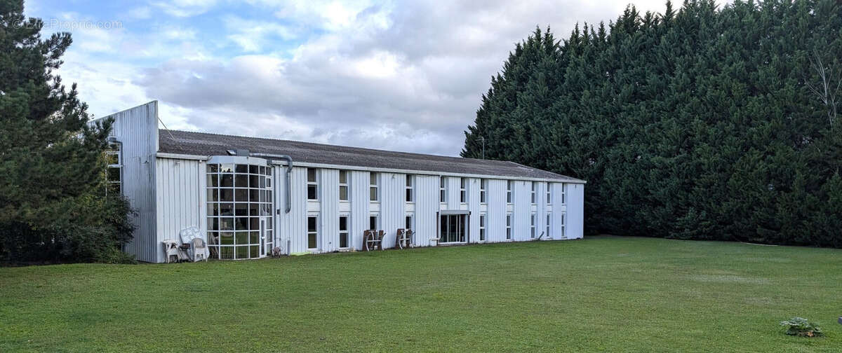 Commerce à NORDHOUSE