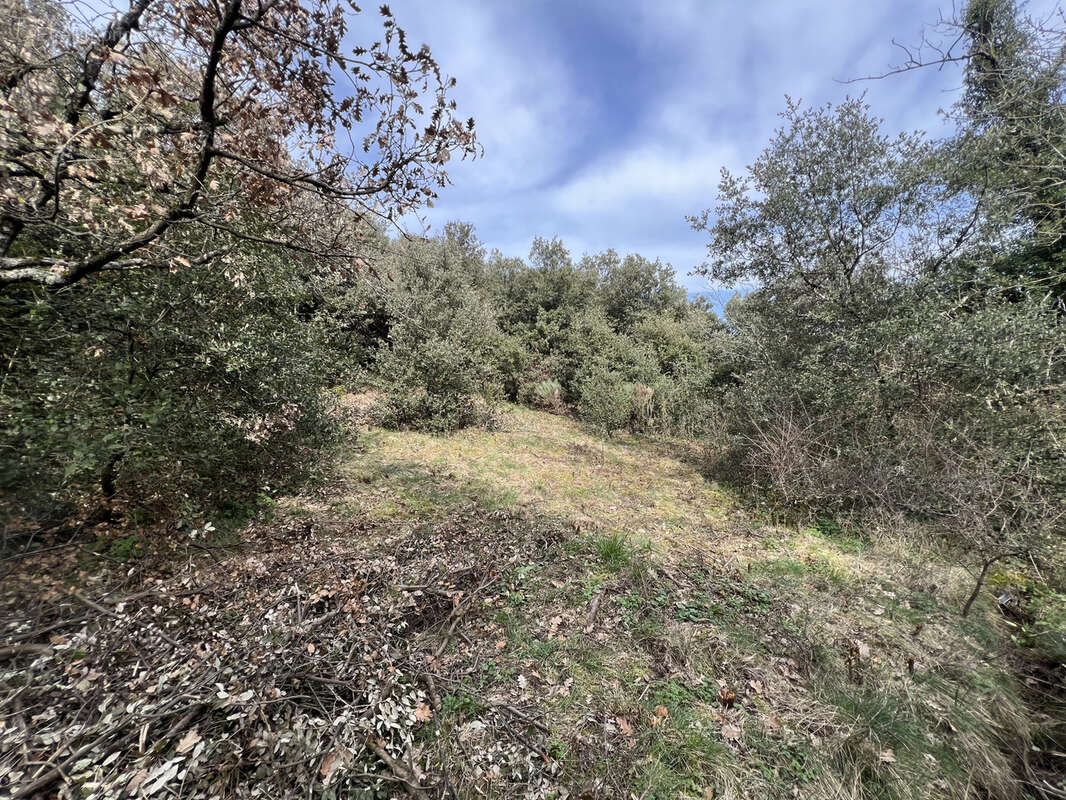 Terrain à SAINT-PERAY