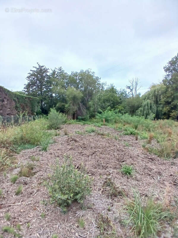 Terrain 673m² à bidart - photo 2