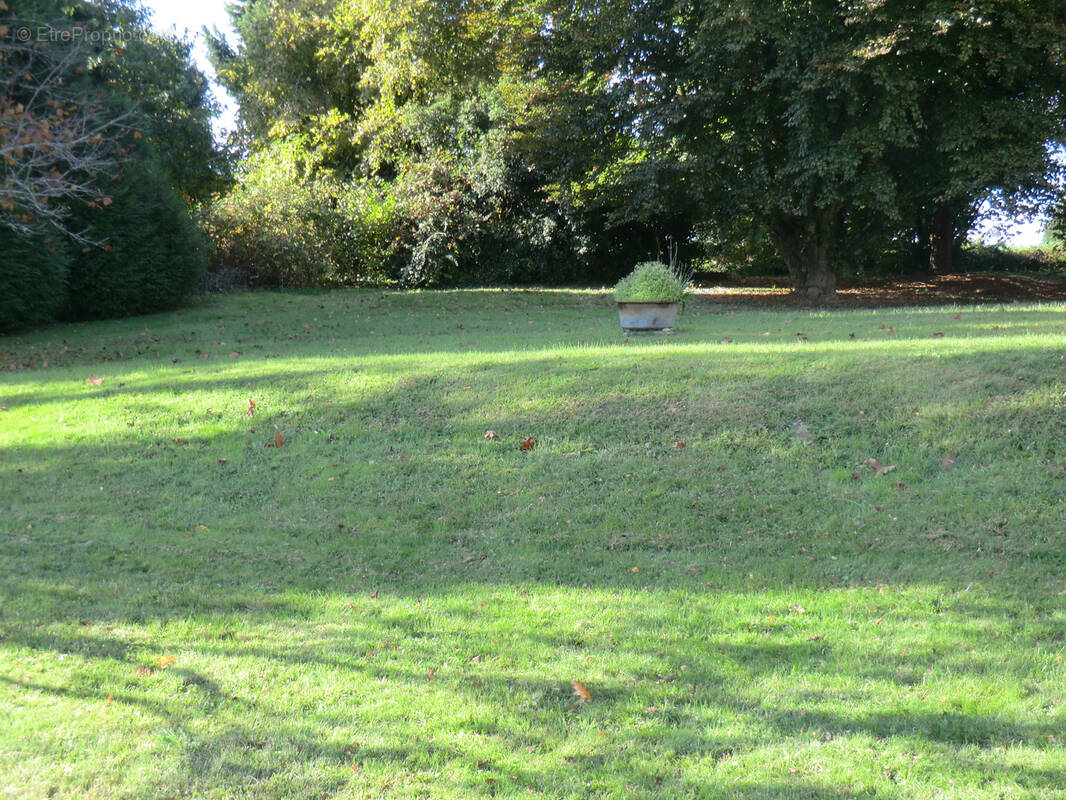 Terrain à COUZEIX