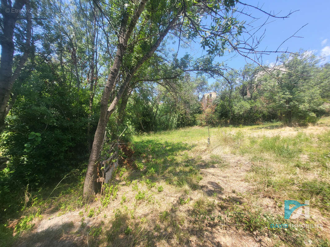 Terrain constructible - photo 5