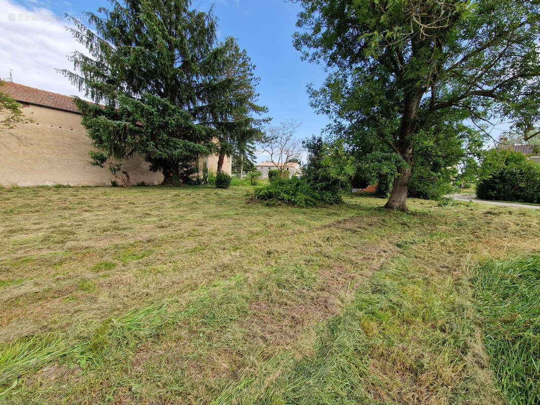 Terrain à SAINT-CIERS-SUR-GIRONDE