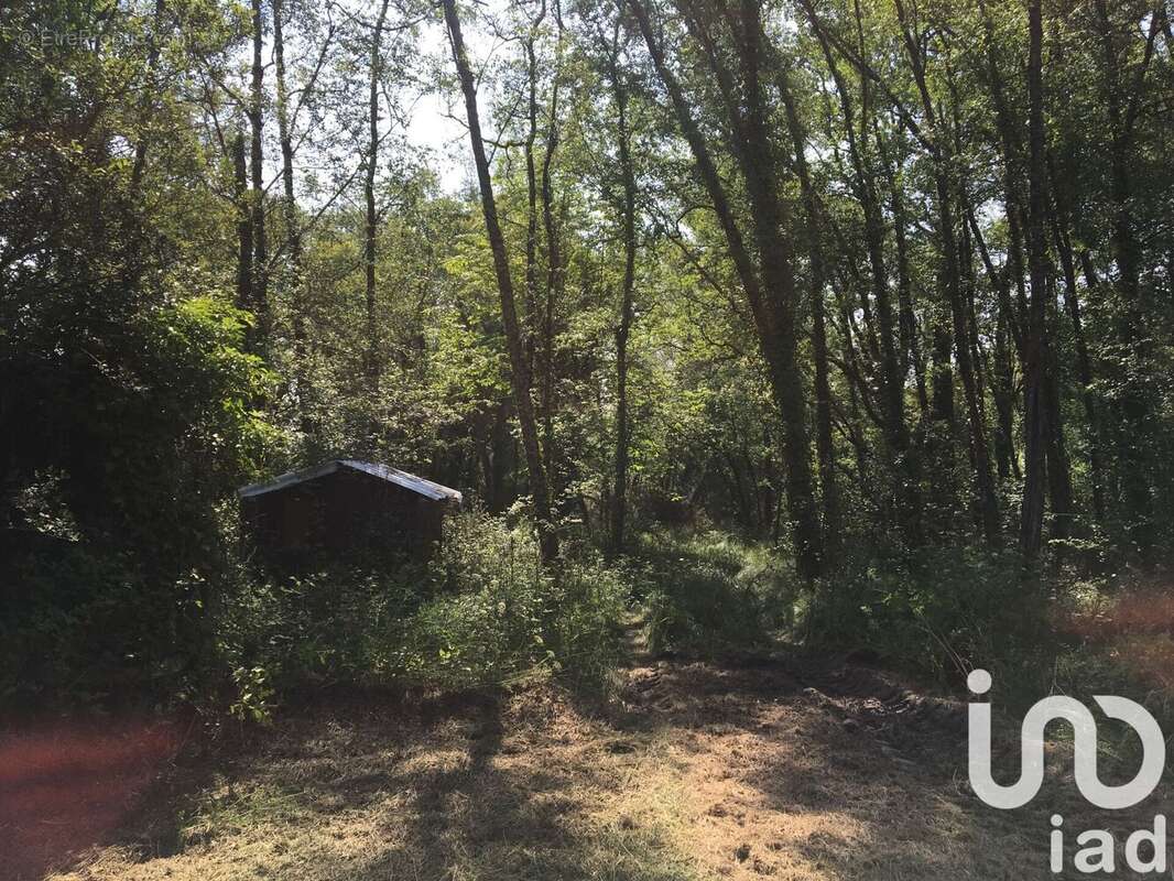 Photo 8 - Terrain à ASSERAC
