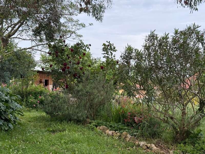 Maison à vendre 8 pièces LOUIT (65) - photo 22