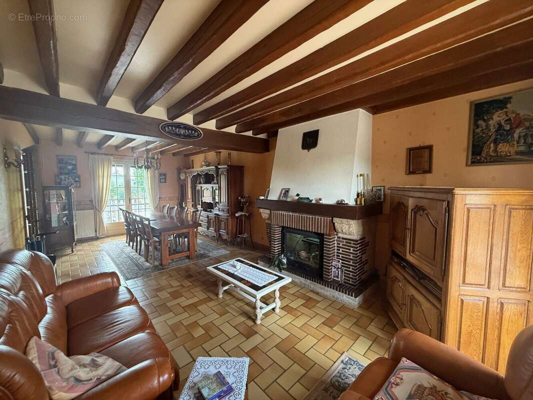 Maison à OUZOUER-SUR-TREZEE