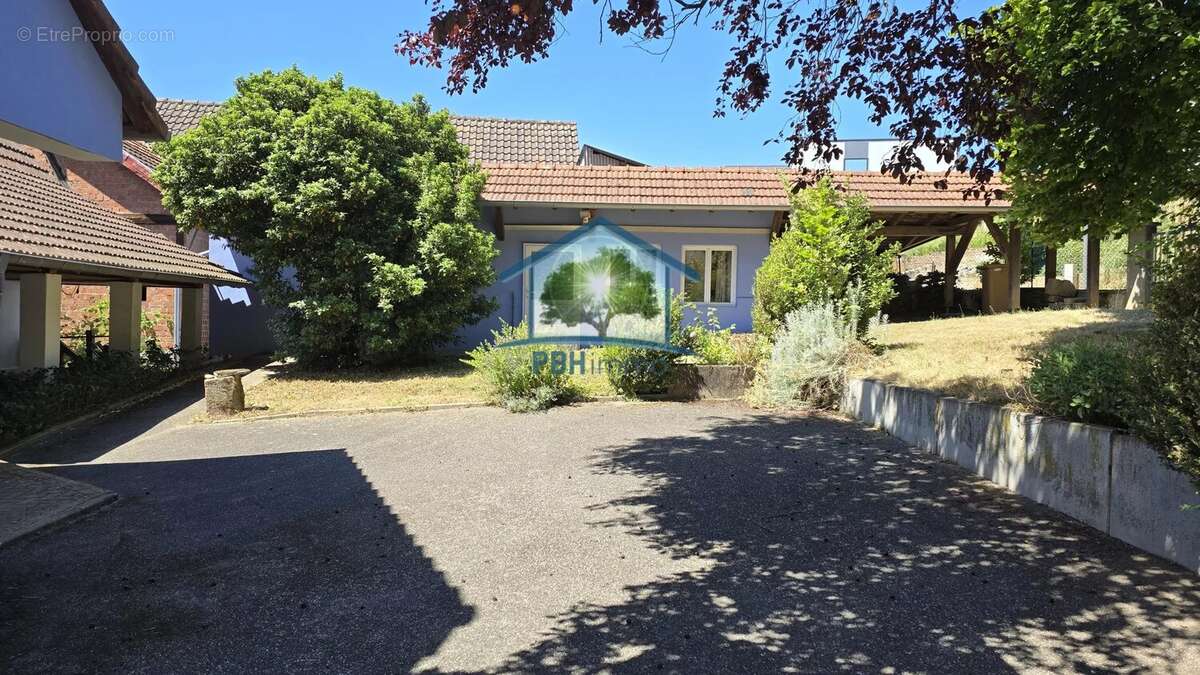 Oberroedern (67) - maison + appartements - photo 4