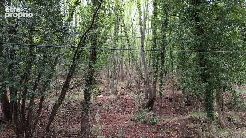 Terrain à vendre de 16 225,00 m² PEILLE (06) - photo 8