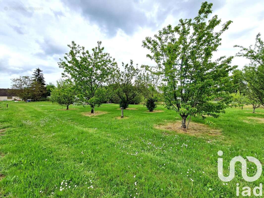 Photo 9 - Maison à SAINT-FIRMIN-SUR-LOIRE