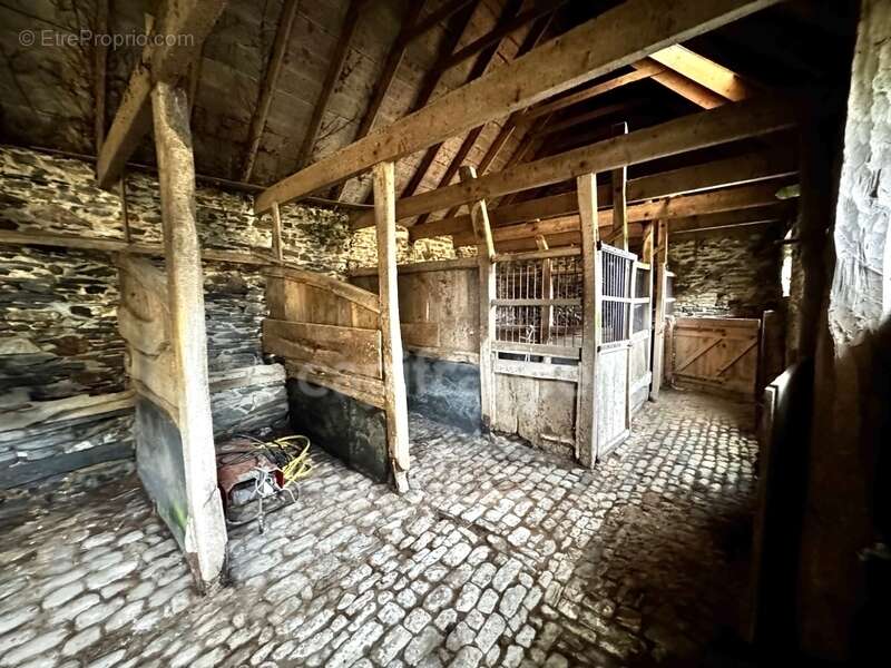 Ensemble immobilier à rénover – Grand terrain – PLOUDIRY (29) - photo 10