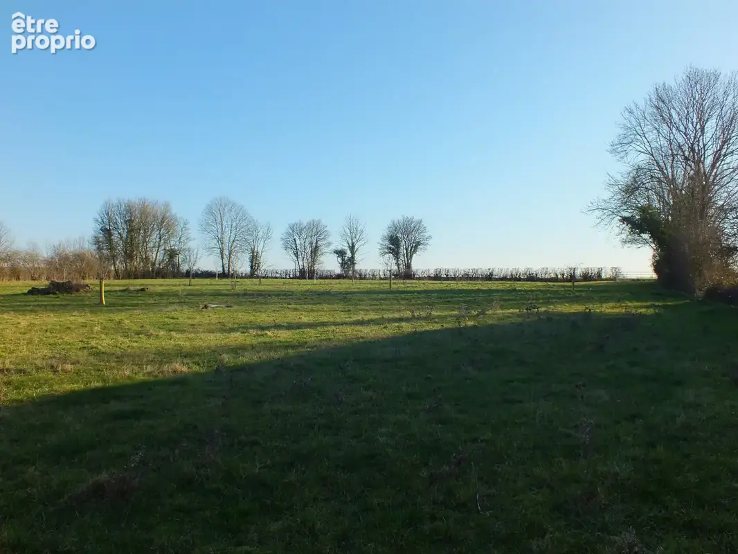 Dpt Côte d'Or (21), à vendre MUSIGNY terrain - Terrain de 5 990,00 m² - photo 2