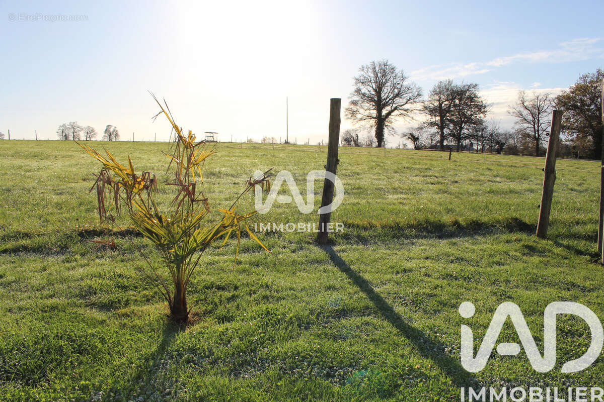 Photo 4 - Maison à SAINT-JEAN-SUR-ERVE