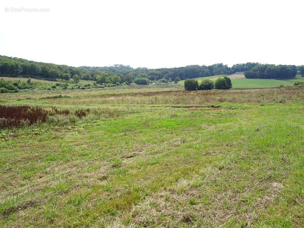 Maison à SAINTE-COLOMBE