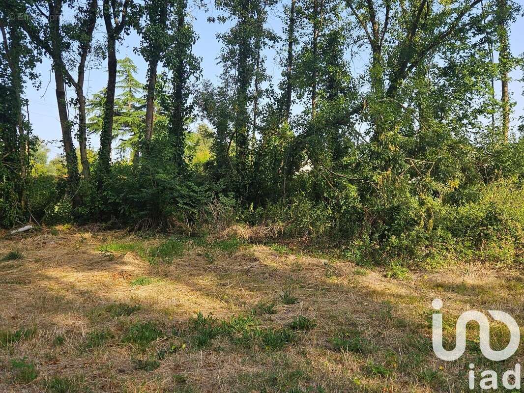 Photo 8 - Terrain à LE GUA