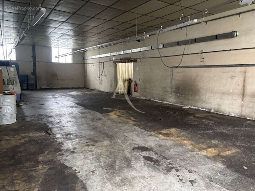 Commerce à NOUAN-LE-FUZELIER