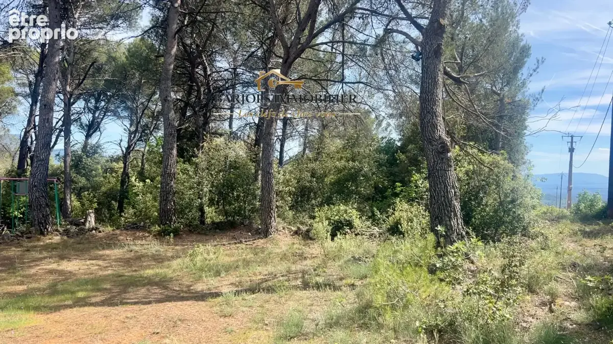 cabanon  1 hectare avec edf - photo 14