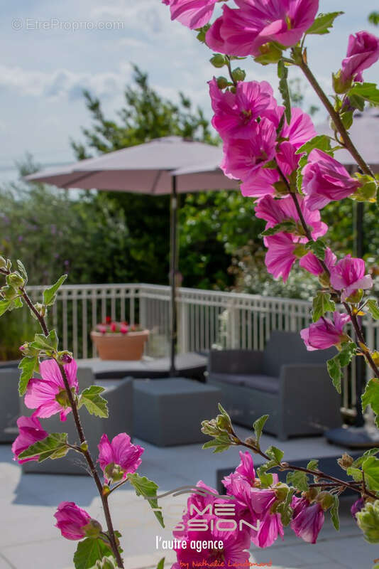 Breuillet - villa avec piscine et belle vue degagee - photo 27
