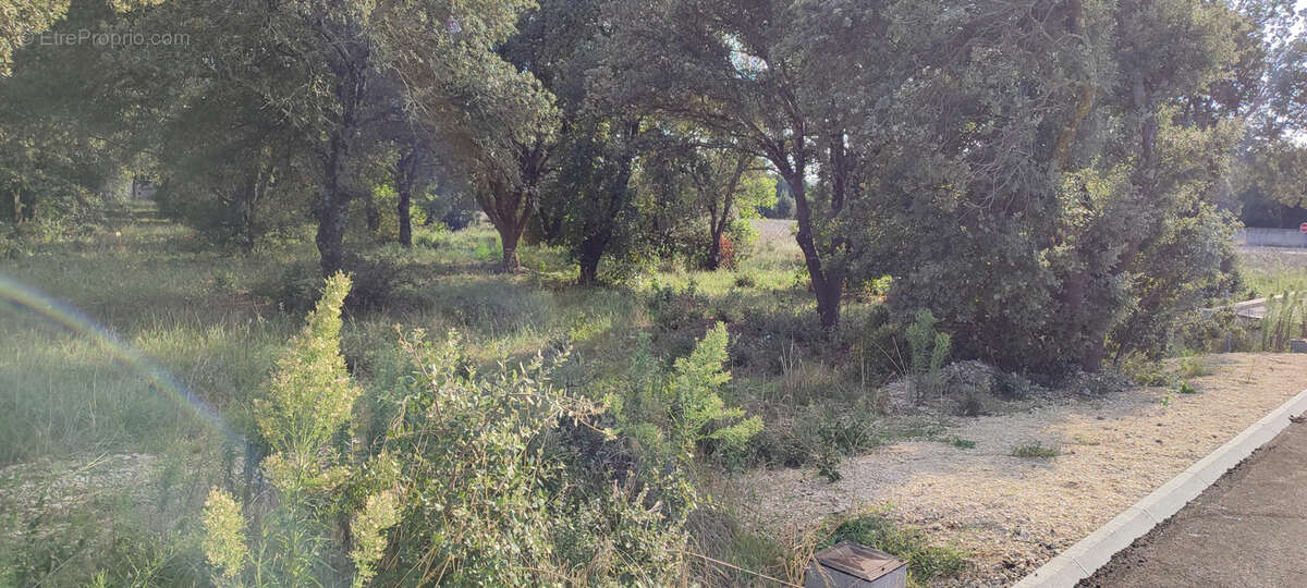 Terrain à LA BAUME-DE-TRANSIT