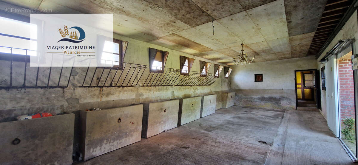EXCLUSIVITÉ - Viager occupé - Domaine de 17 000 m2 avec maison de maître, dépendances et écurie - Pays de Bray (76) - photo 5