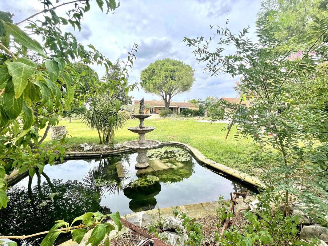 Photo 4 - Maison à SORGUES