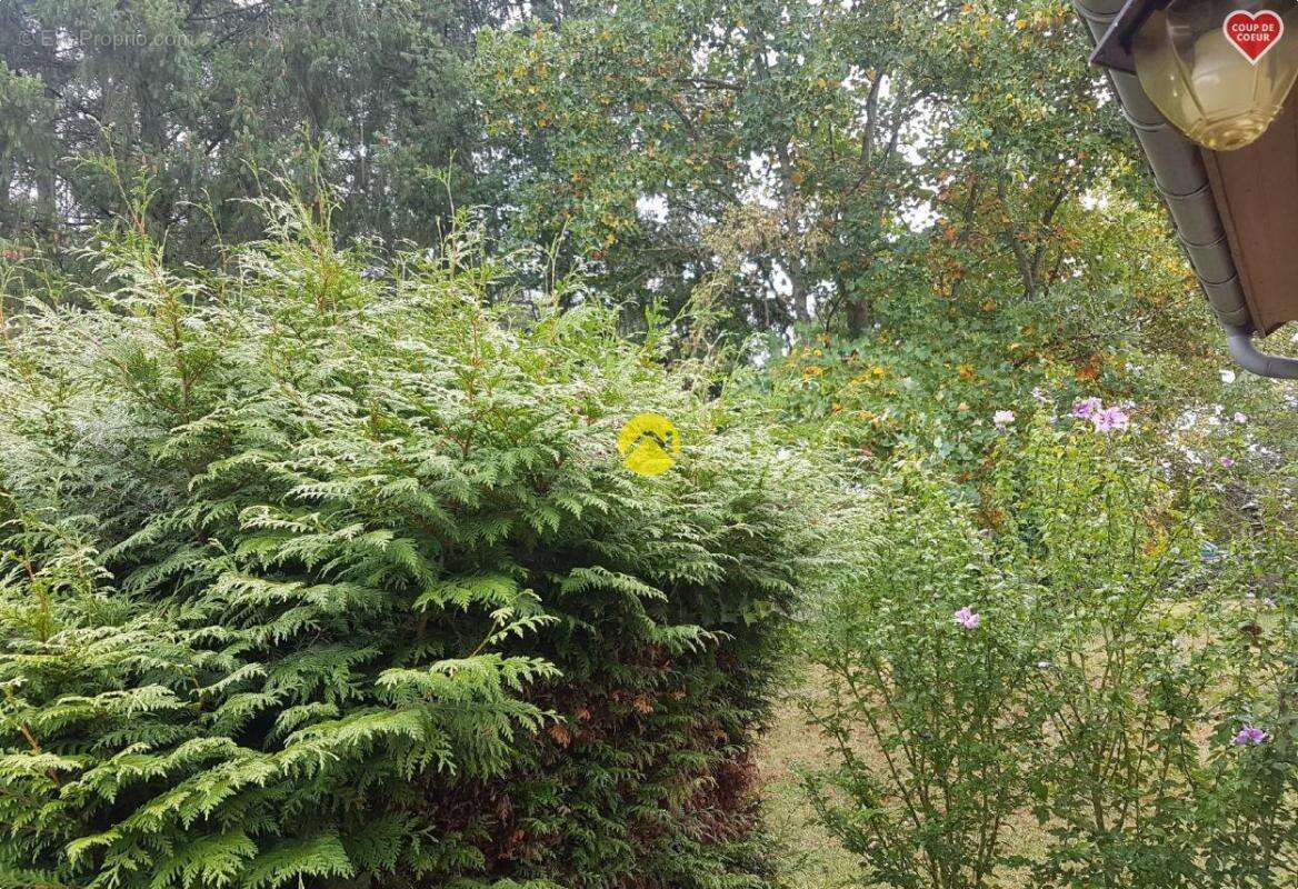 Maison à CHANTENAY-SAINT-IMBERT