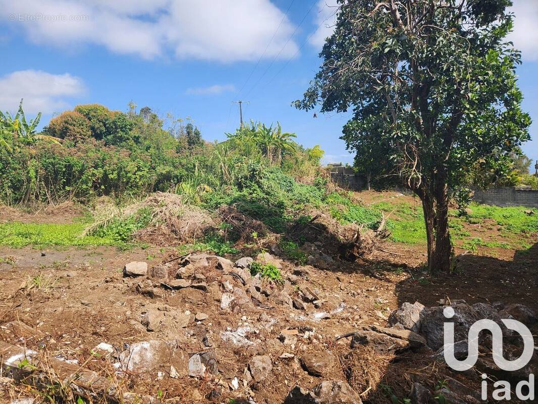 Photo 1 - Terrain à LE TAMPON