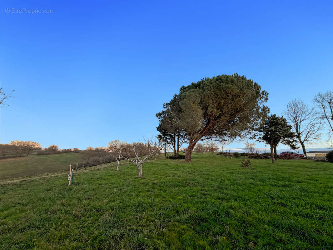 Maison à vendre 6 pièces LUPIAC (32) - 218 m2 - Terrain 2840 m2 - photo 15