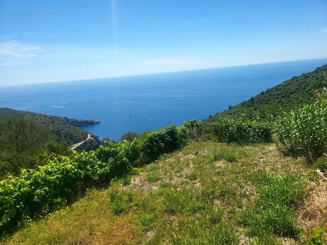 Terrain à EZE