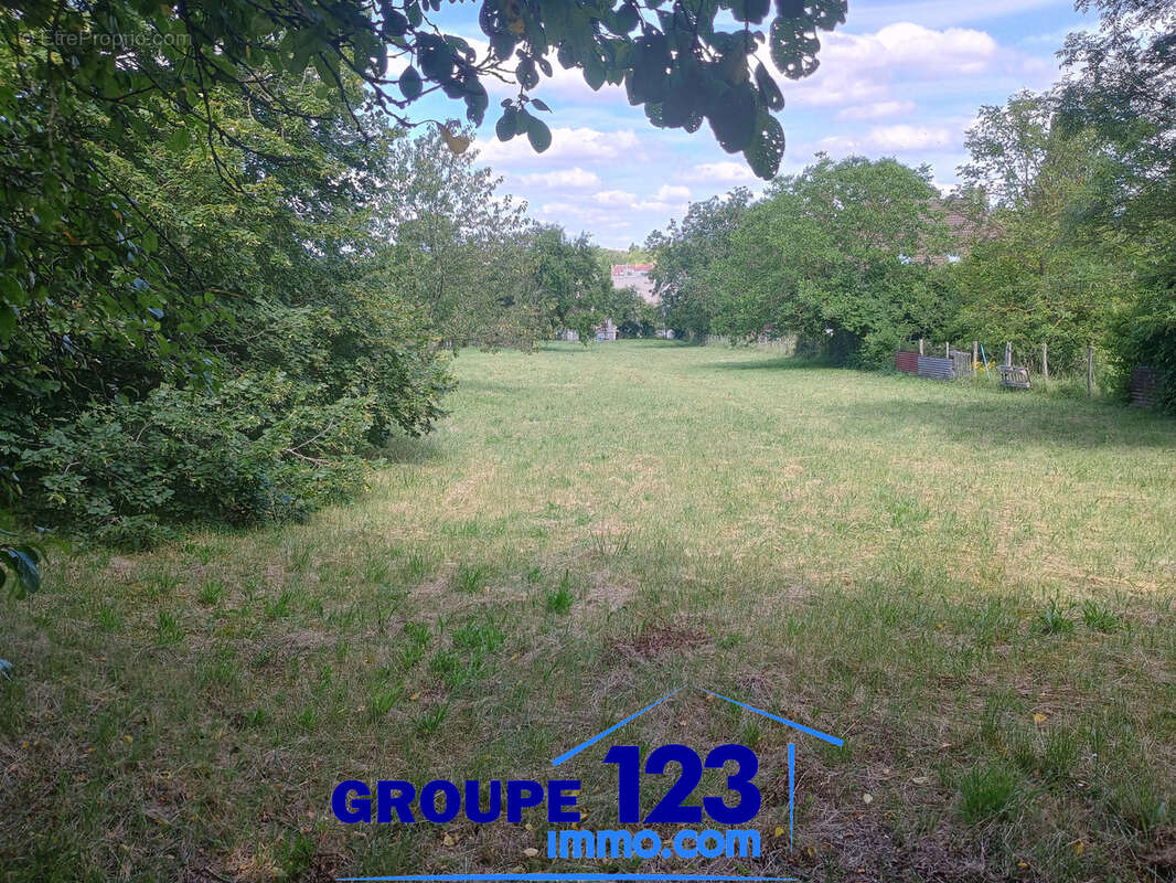 Terrain à AILLANT-SUR-THOLON