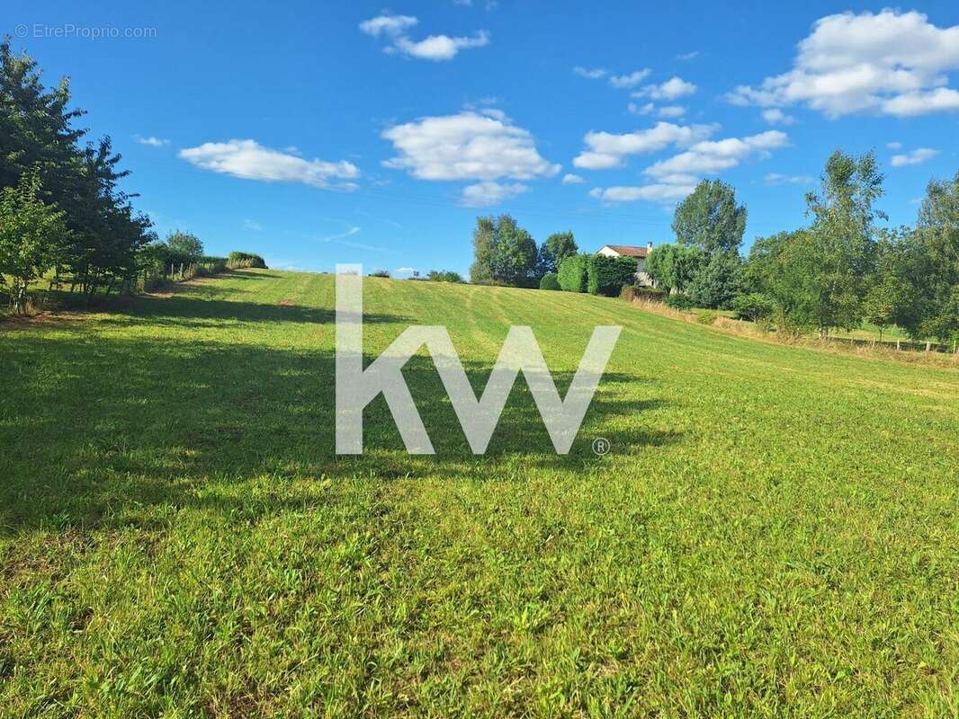 Terrain à LA DORNAC