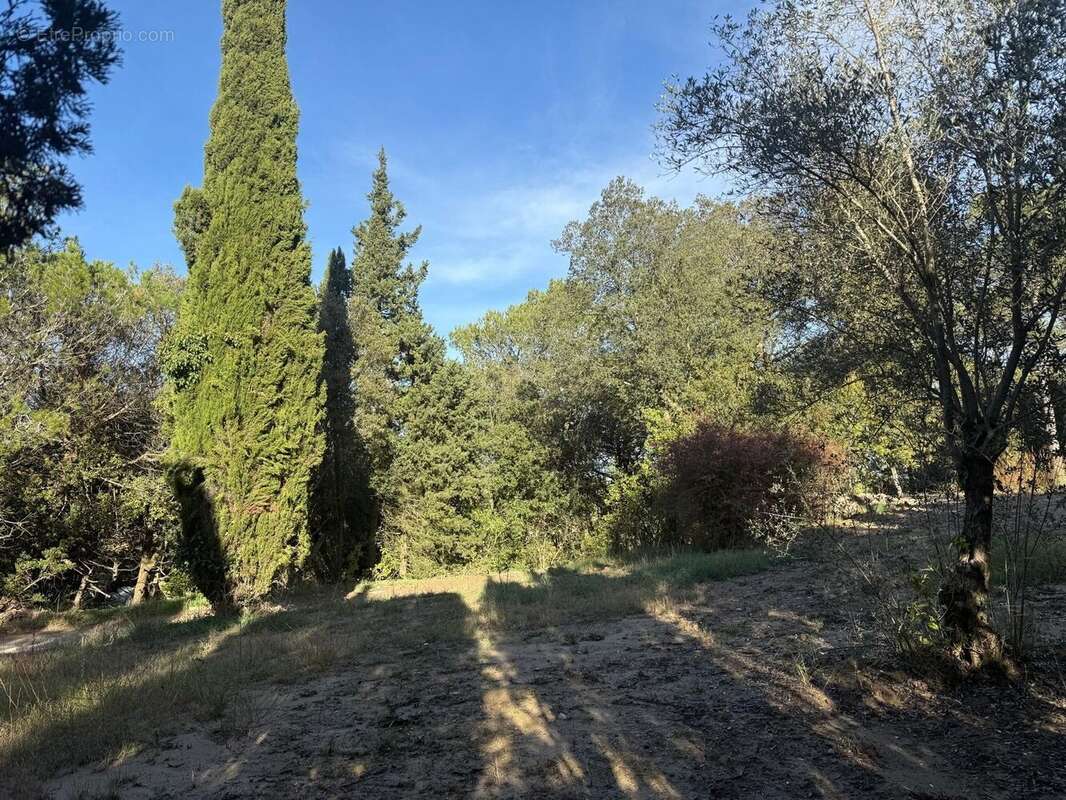 Terrain à CARCASSONNE