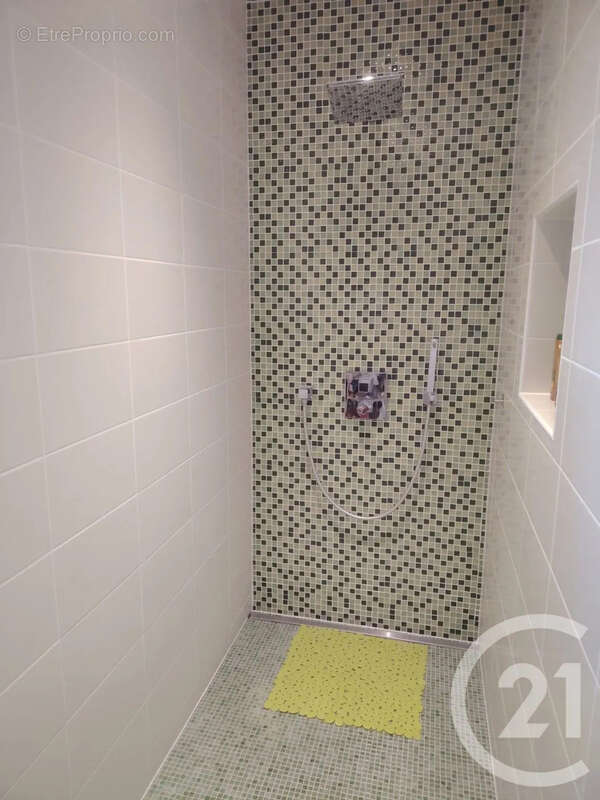 Maison 288 m² à Heyrieux  - photo 18