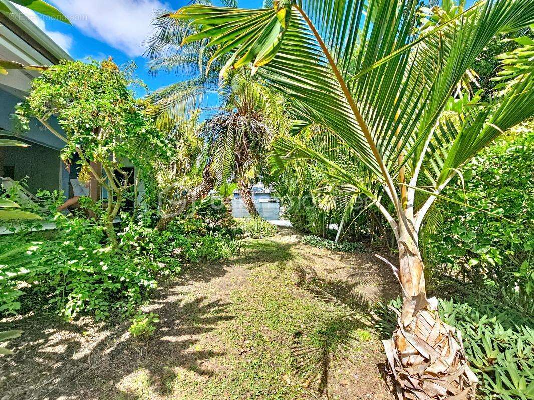 Maison à SAINT-FRANCOIS