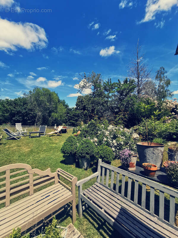 Maison d'artiste avec jardin botanique, source - Terrain 1,6 hectare - photo 36