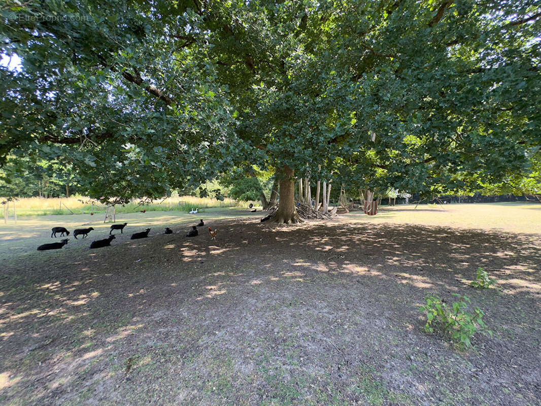Maison à COULOMMIERS