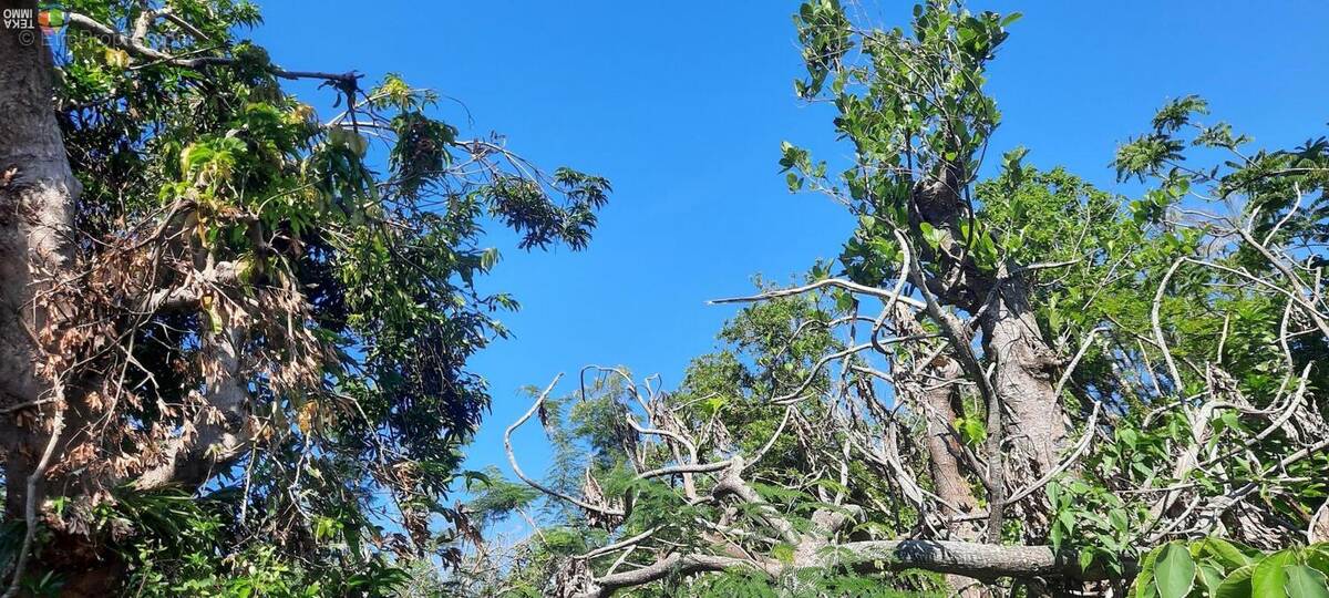 Maison à SAINT-ANDRE