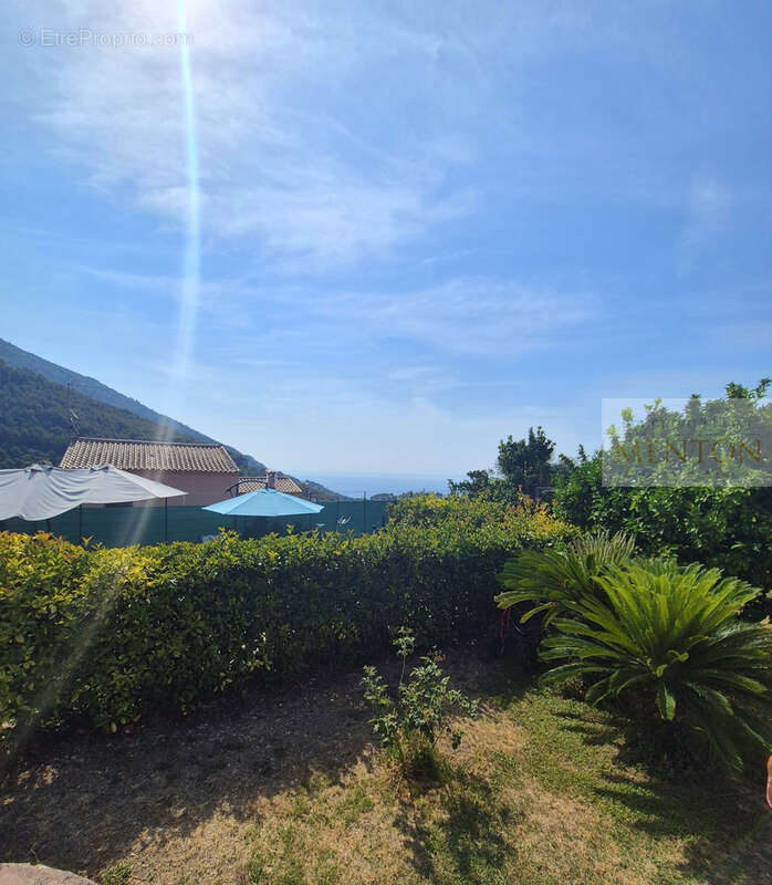 Maison à MENTON