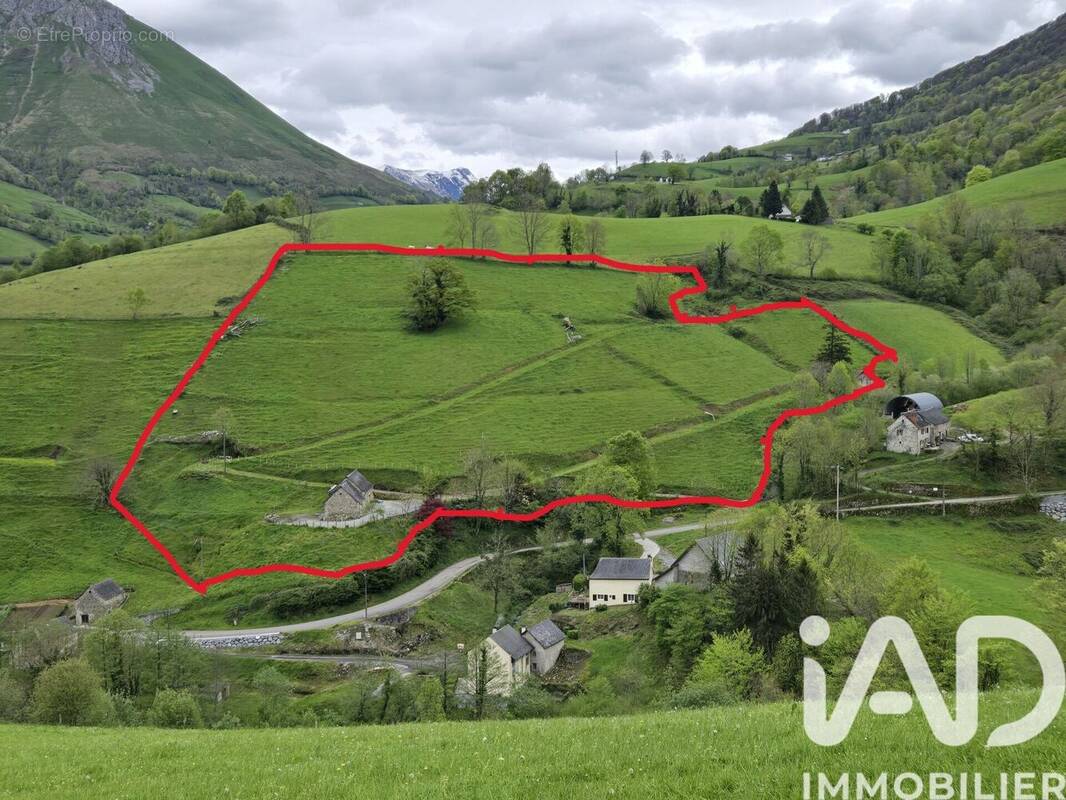 Photo 1 - Maison à LOURDIOS-ICHERE
