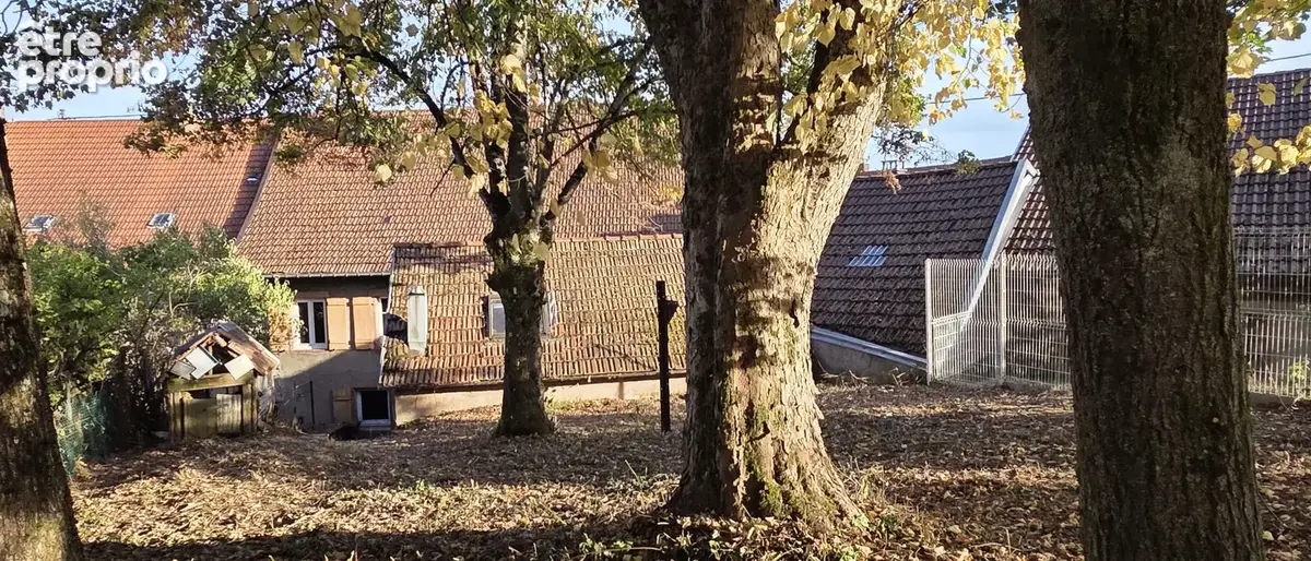 Saales, ancienne maison à rénover, avec dépendance et terrain à l'arrière, beaux espaces. - photo 19