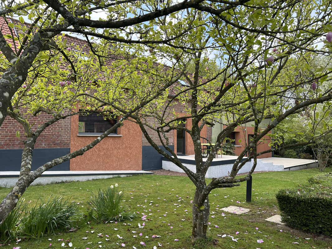 Maison à POMMERA