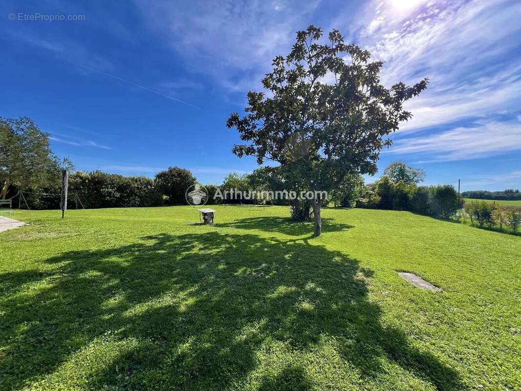 Maison à ANTEZANT-LA-CHAPELLE