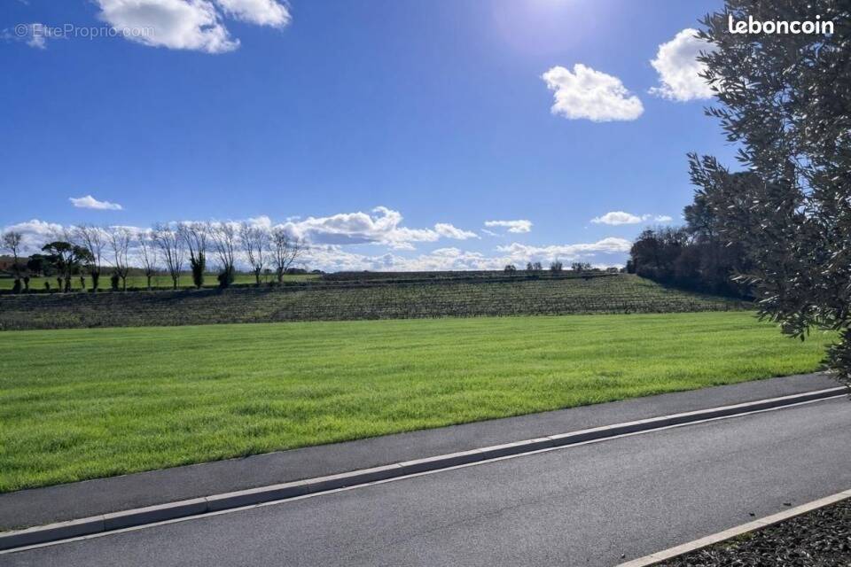 Terrain à CARCASSONNE
