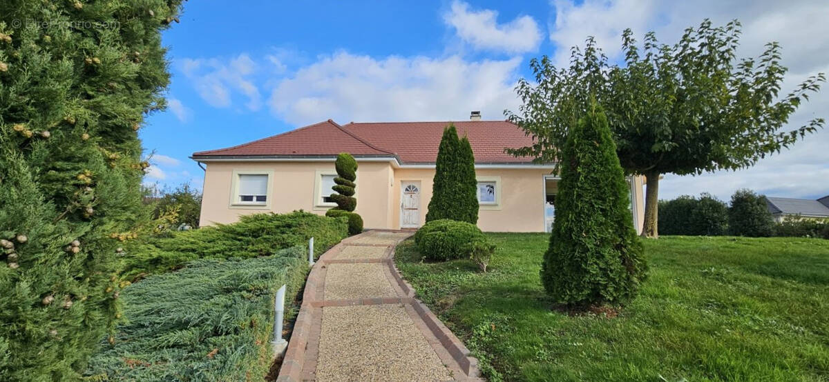 Maison à CREUZIER-LE-VIEUX