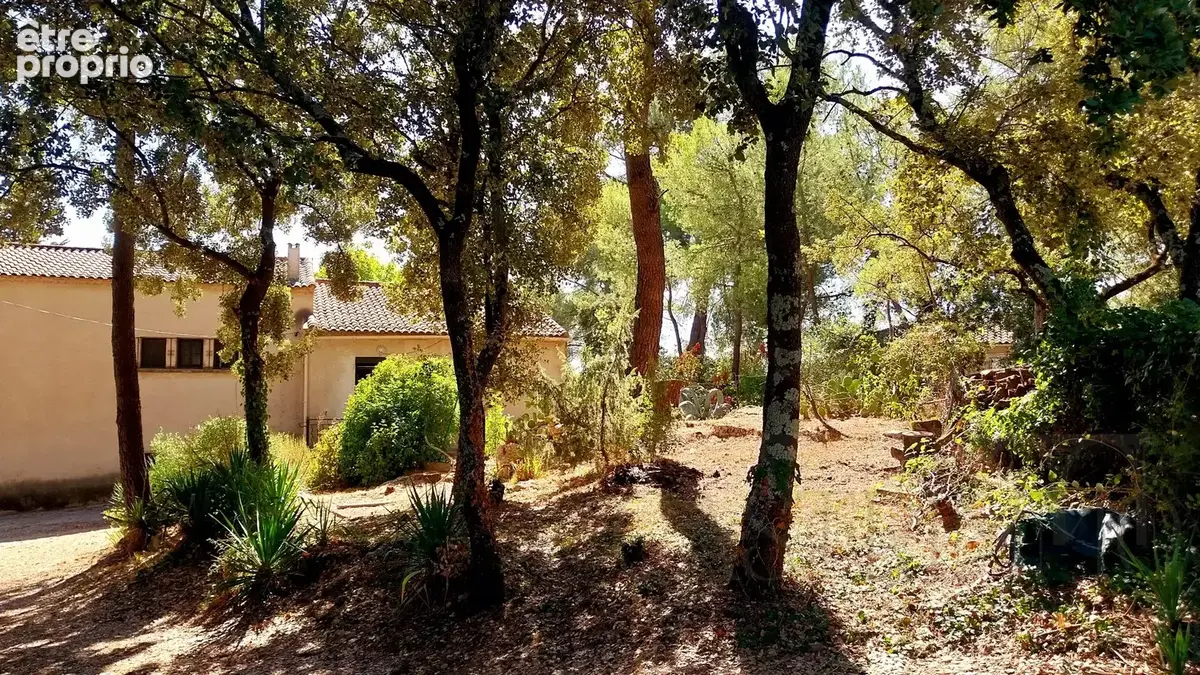 Photo Maison à Sussargues au prix de 325 000€
