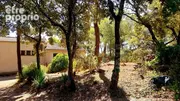 Maison à SUSSARGUES