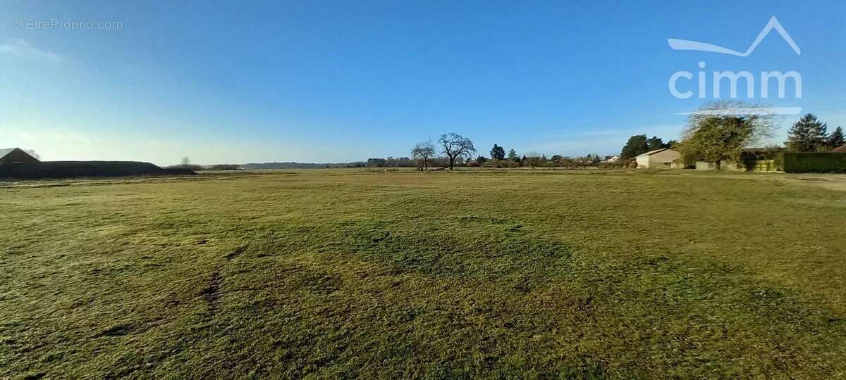 Terrain à MONTLIVAULT