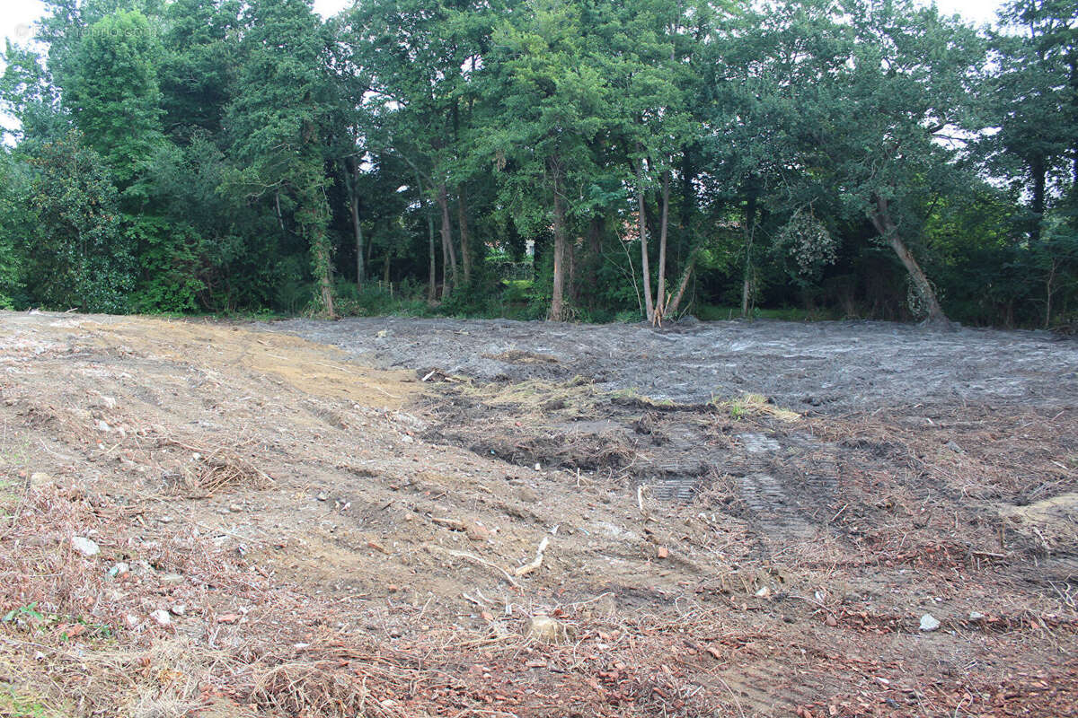 Terrain à SAUGNAC-ET-CAMBRAN
