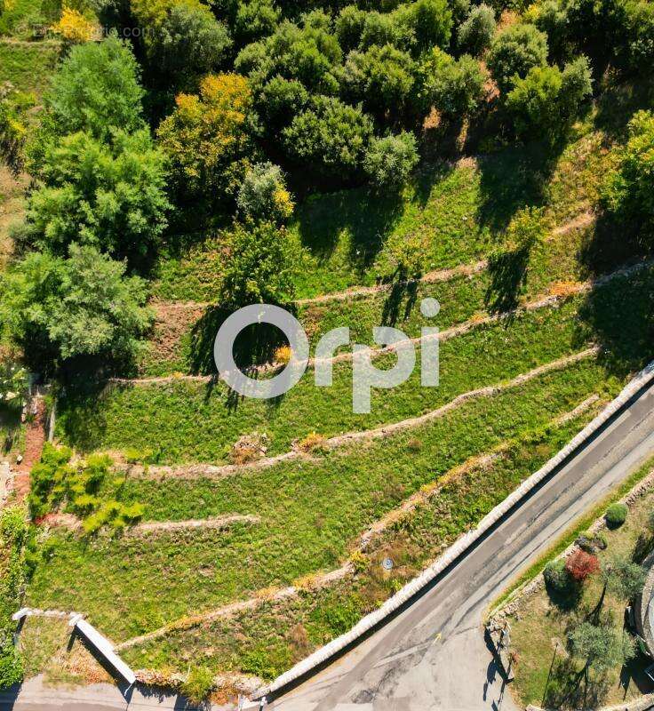 Terrain à PLANZOLLES