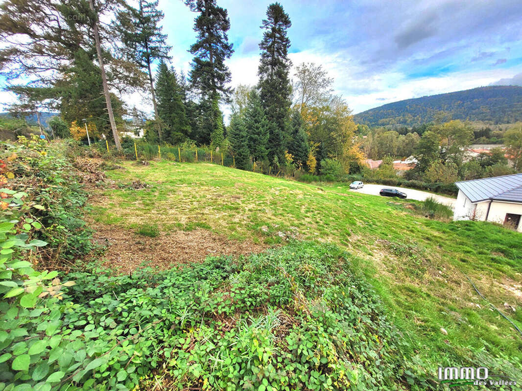 Terrain à SAINT-AME