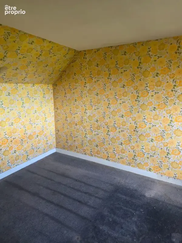 Maison 8 pièces 1 250 m² à vendre à Belfonds (61500) - photo 9